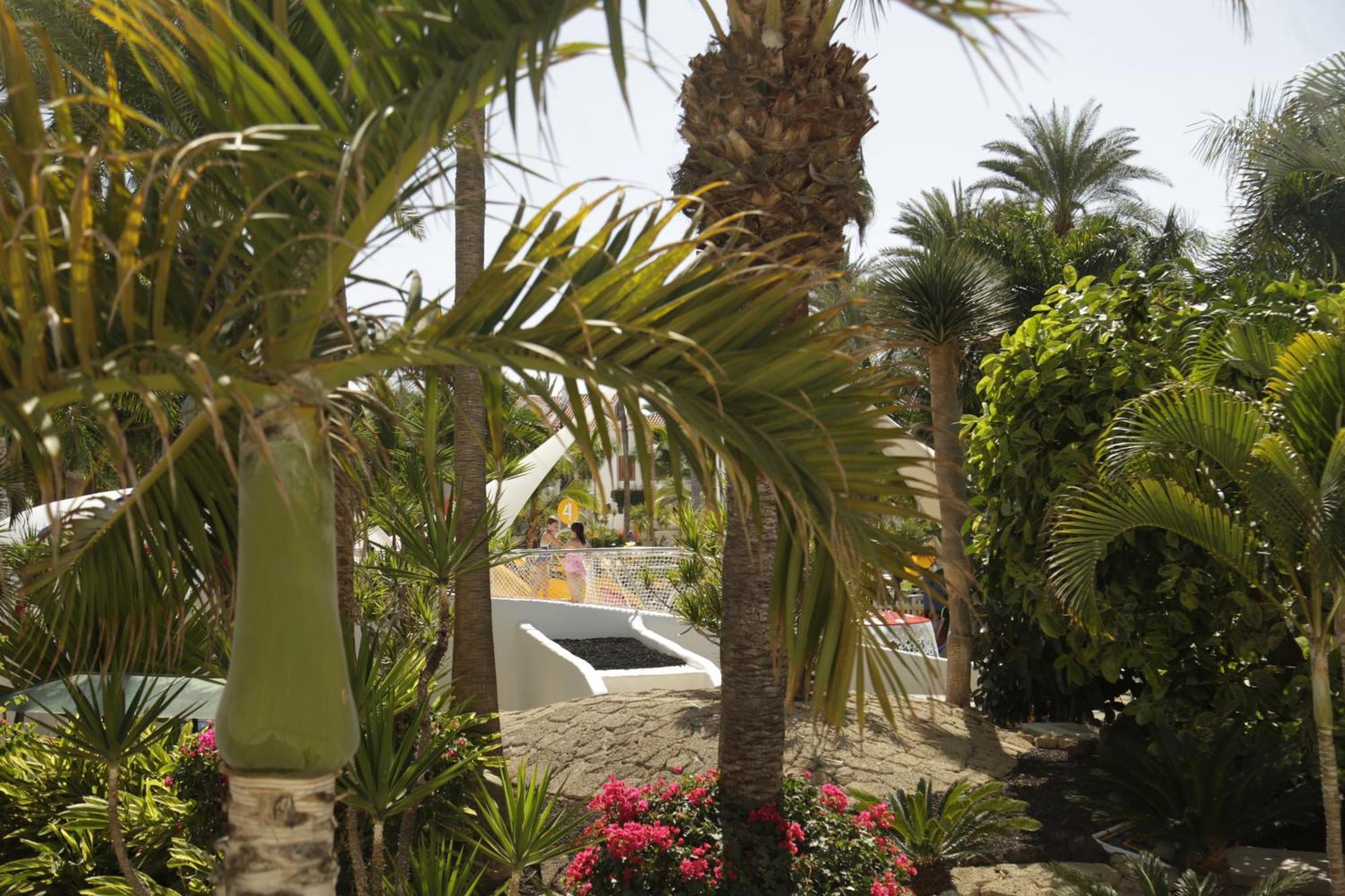Parque Santiago 3 Luxery Apartment, Playa las Américas, Arona, Tenerife Playa de las Américas Extérieur photo